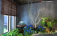 不是来自星星，美丽转身的新型餐饮从归本主义中走来