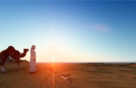 中阿军事合作小镇设计