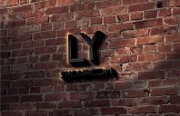 靓影定制-VIS设计案例