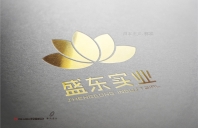河北盛东实业VIS设计欣赏